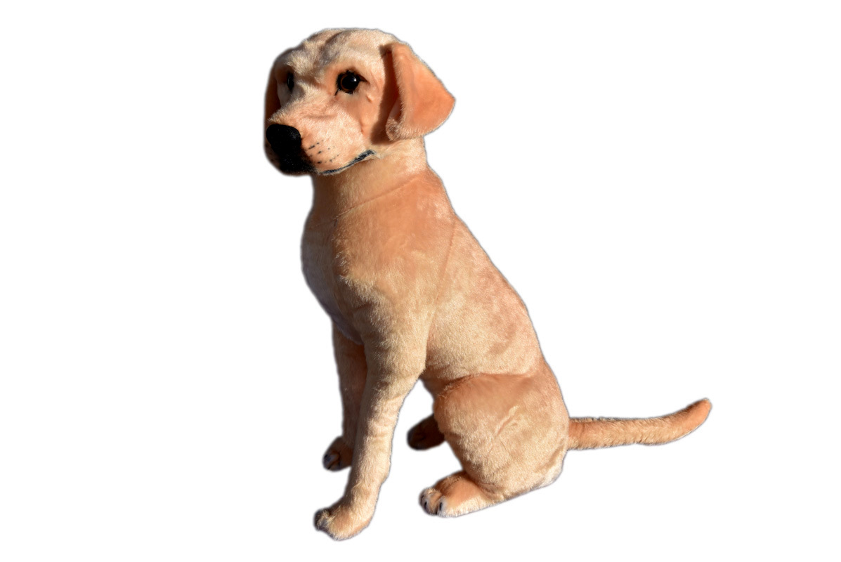 Plyšový pes Labrador, výška 70cm